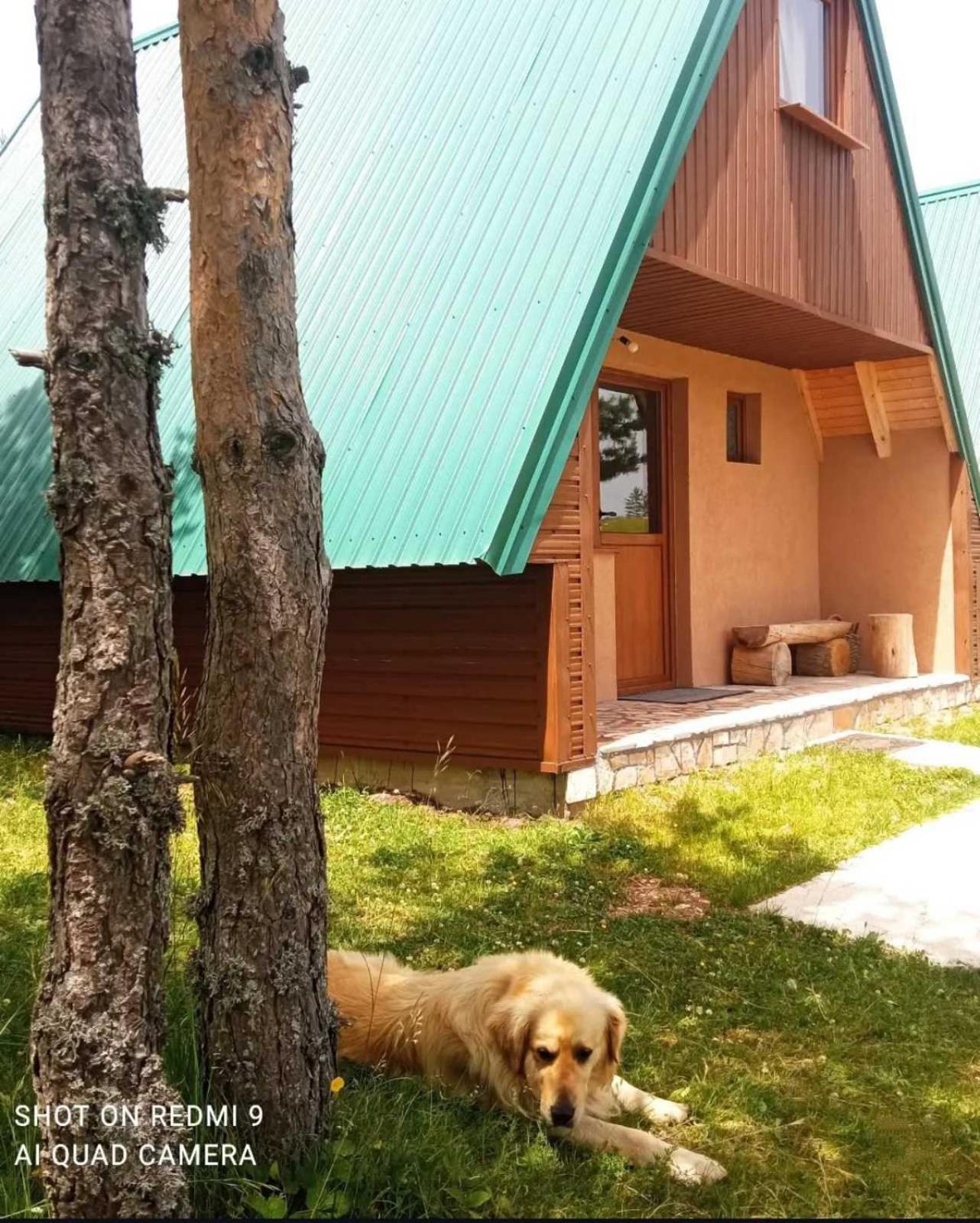 Vikendice Smolovic Βίλα Žabljak Εξωτερικό φωτογραφία
